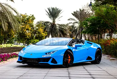 Spyder (Convertible) | Up to 50% Off