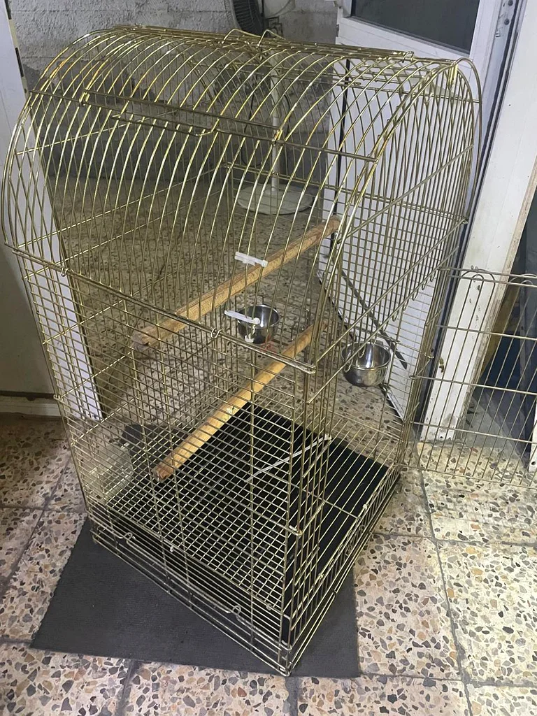 قفص طيور كبيره مستعمل بحاله جيده63232162514051112