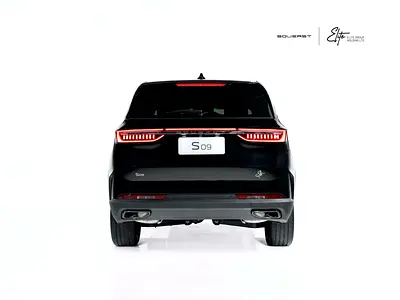 Soueast S09, миниатюра 6