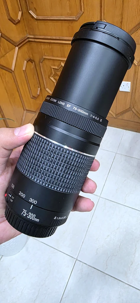 Canon EOS 750D T6i with 18-55mm, 50mm, 70-300mm lenses + lense cover + bag + battery +charger63174322877313114