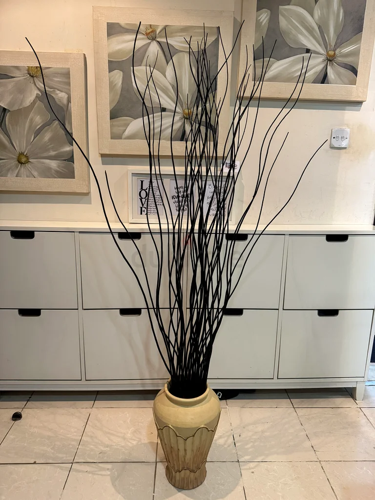 Decorative twigs in birch and black colored63263494968194111