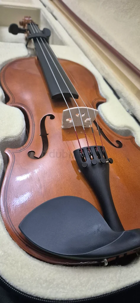 Violin 4/4 for beginners63229682235394112