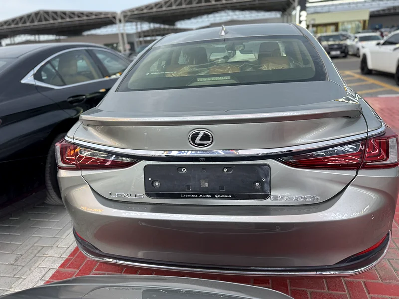 ES 300 HYBRID 2023 GCC 1 paint63225699303299114