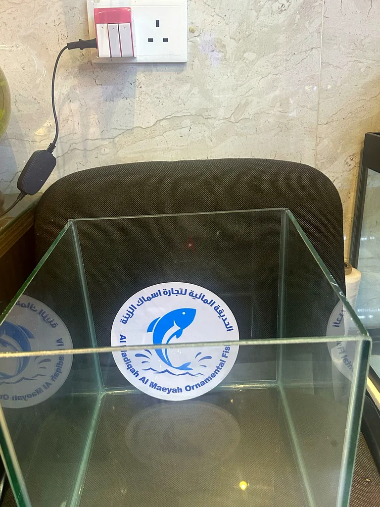 handmade fish aquarium63233131590401112