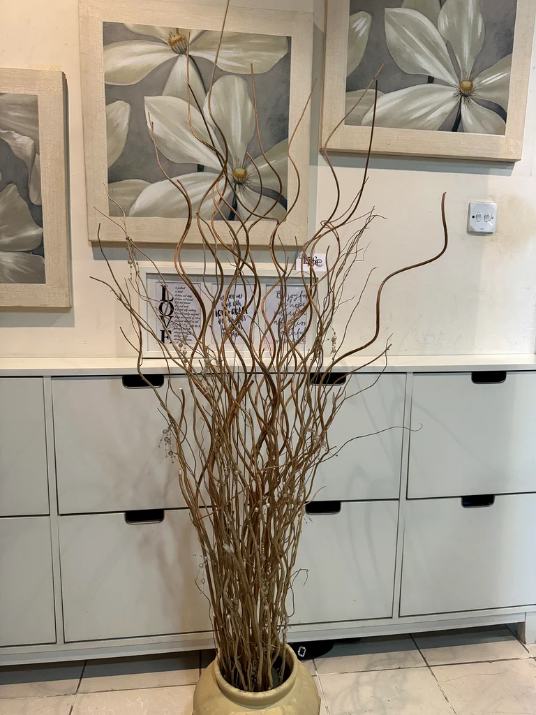 Decorative twigs in birch and black colored63263494968194110