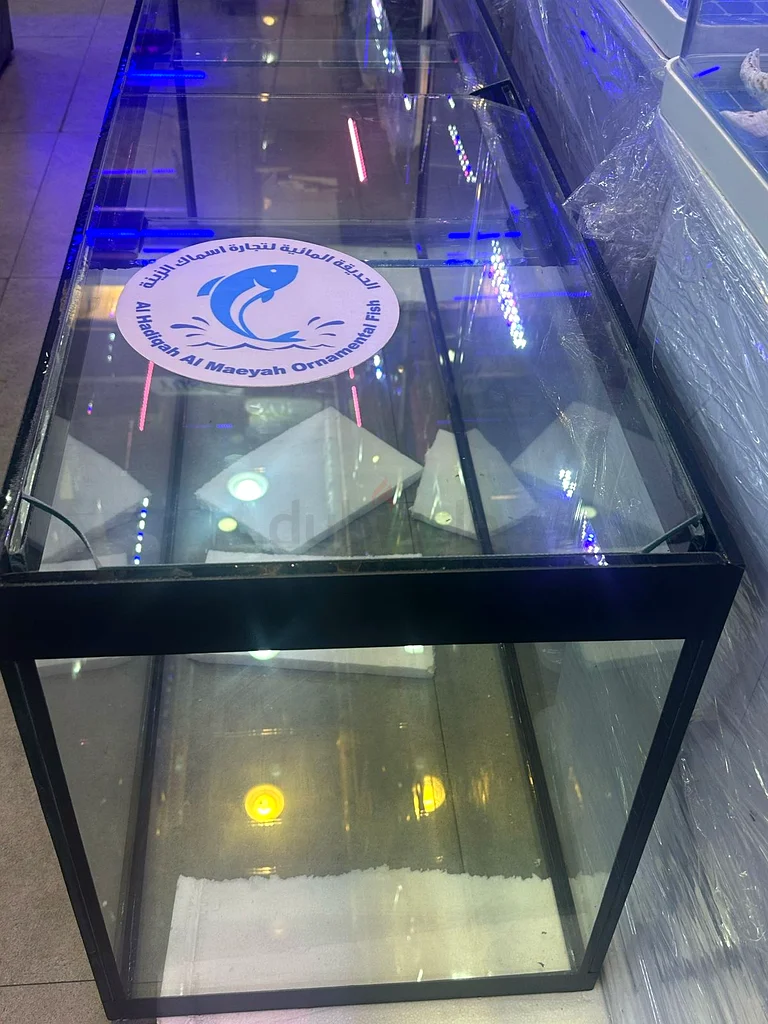 handmade fish aquarium63233131590401111
