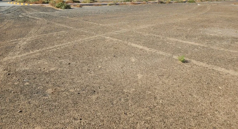 للبيع فرصة استثنائية  
قطعة تجارية سكنية  
أبو شغارة - الشارقة  
القطعة مرخصة  
الطابق الأرضي + 10 طوابق ( بار628646653254421122