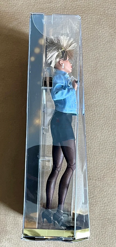 Tina Turner Barbie Signature Doll63194602895746112
