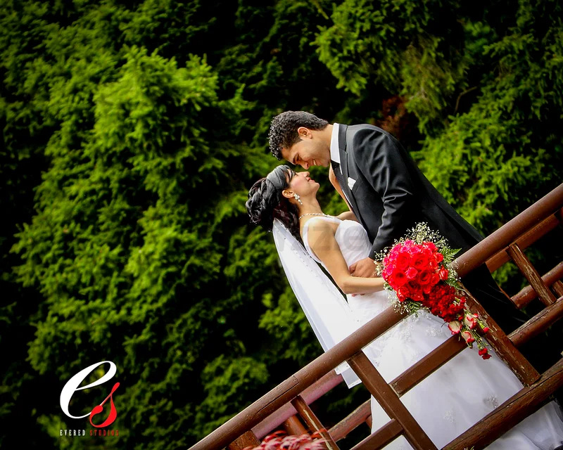 BREATHTAKING WEDDING/BIRTHDAY/FAMILY PHOTOGRAPHER62931685659265113