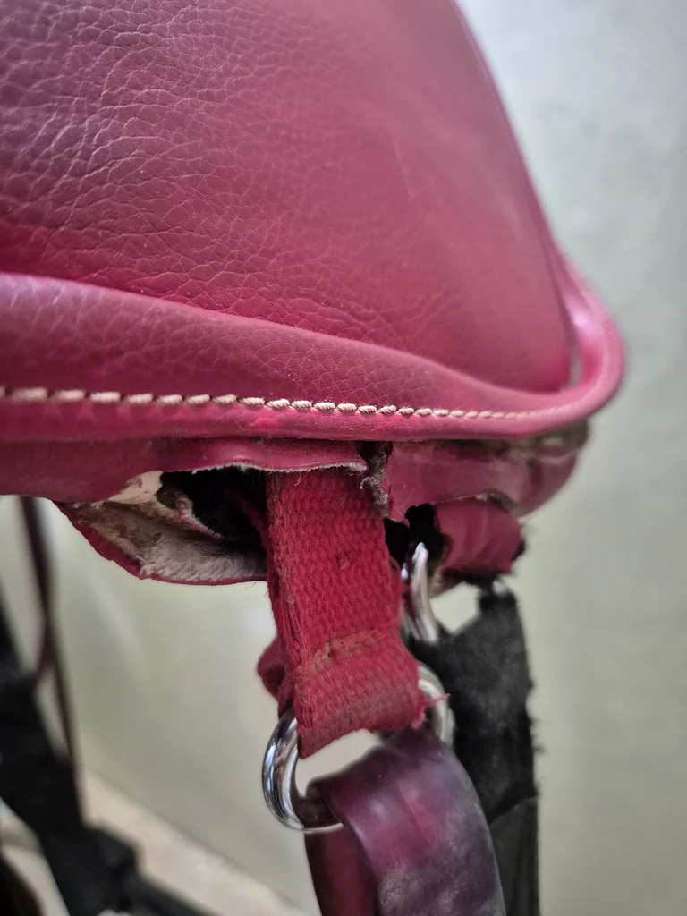 Horse saddle.. سرج حصان63247249232771111