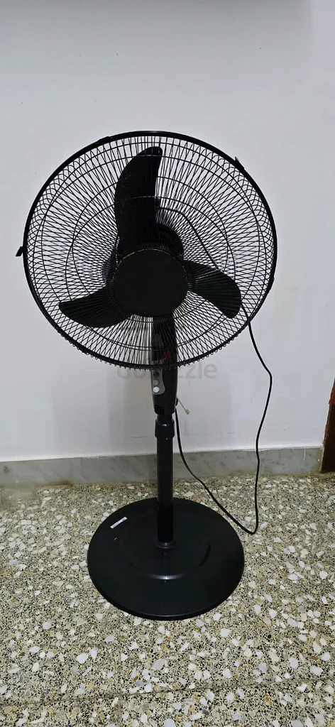 Stay Cool This Summer with a Stylish Standing Fan!632198229835551117
