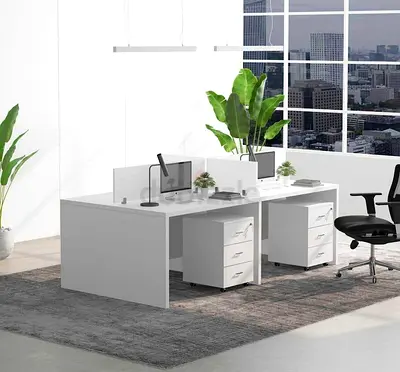 Customized Office Workstation