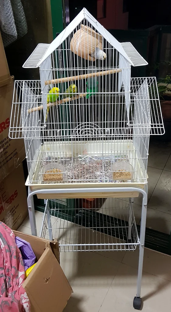 Bird cage63232161884674110