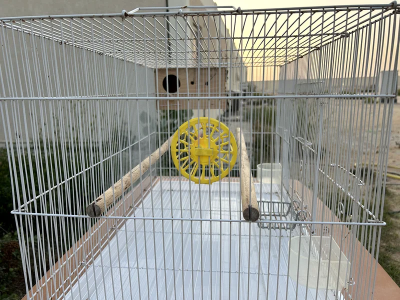 قفص طيور مع إكسسوارات63231685670531111