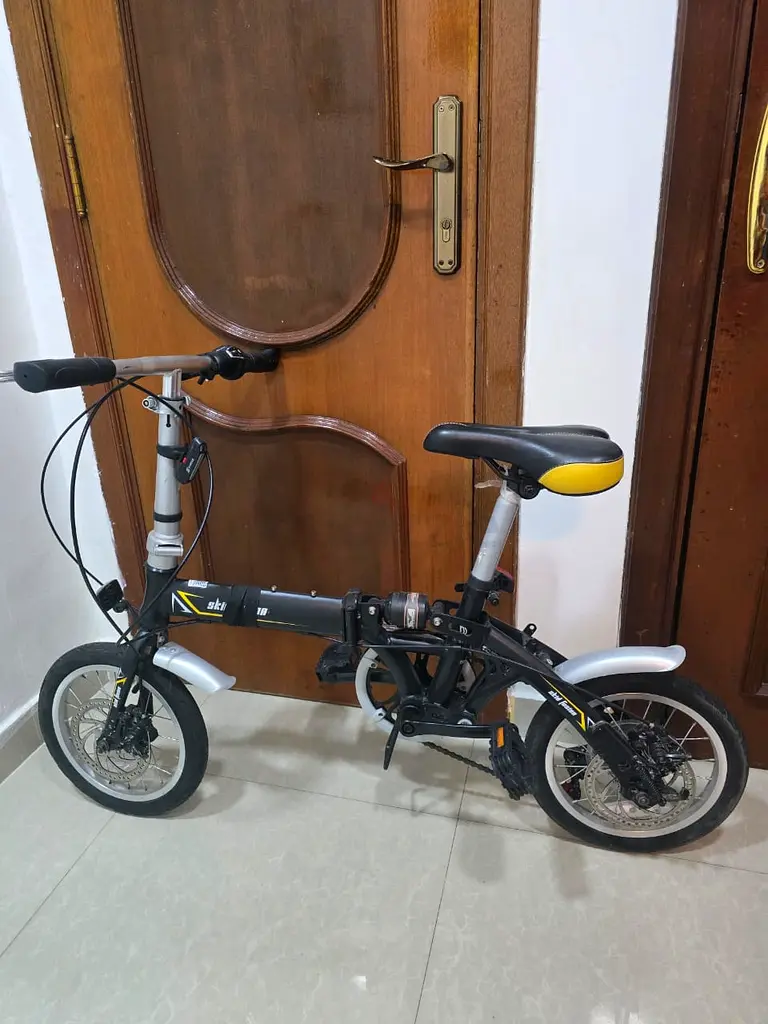 Cycle - With Gear63246244782081113