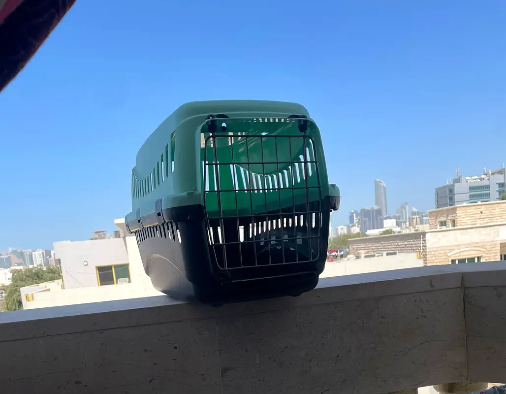Pet carrier63232157624705113
