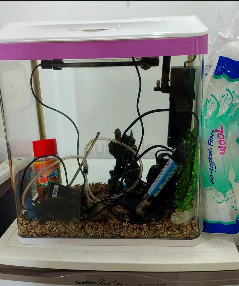 Fish tank 380×220×470 with all accessories632326499546901128