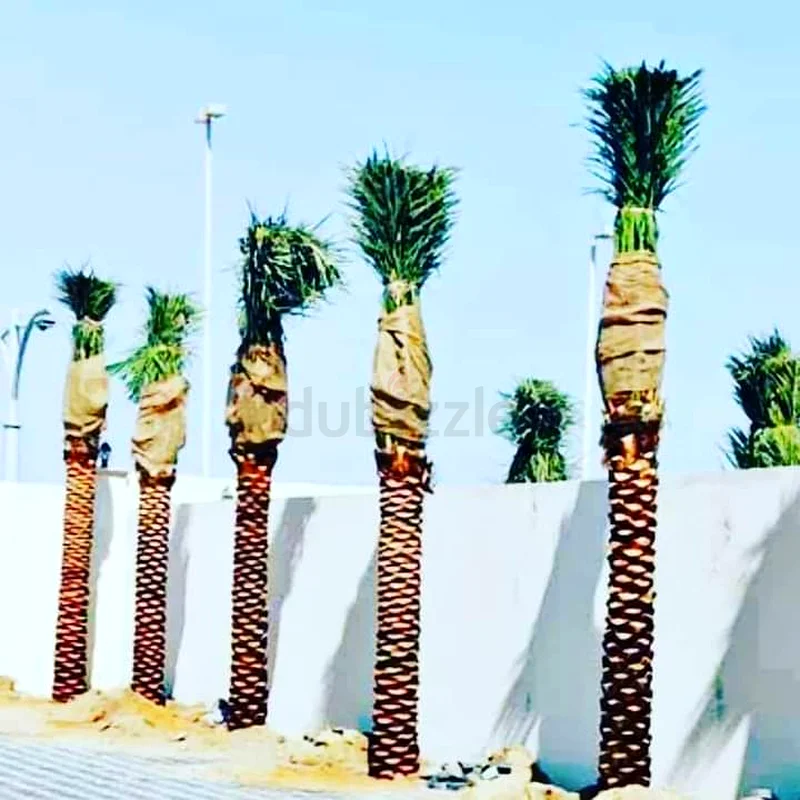New MirLand Garden Landscaping63215384532995114