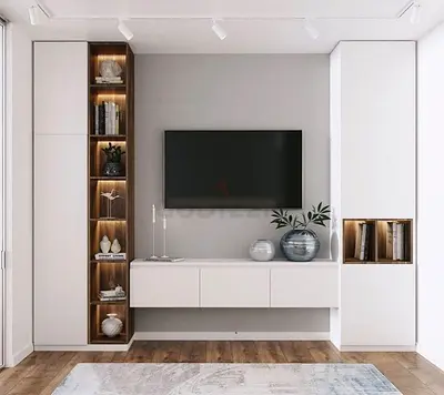 Modern tv unit