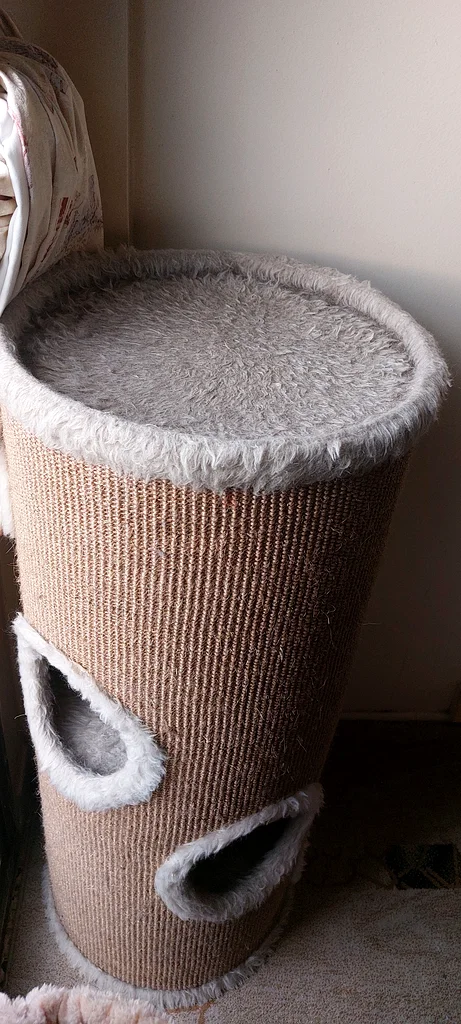 Cat tower63233131192833111