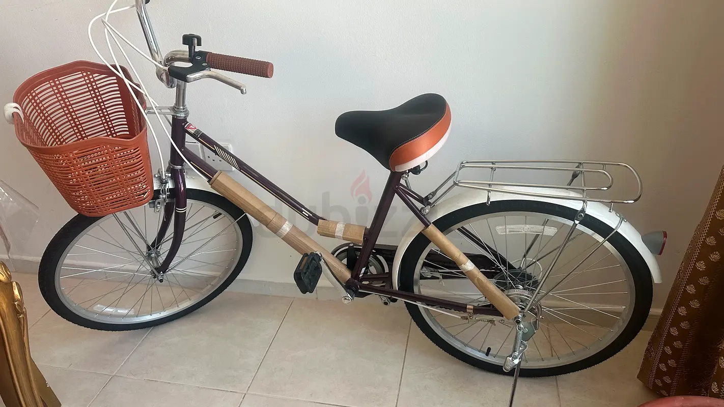 Riding bicycle63245713802499116