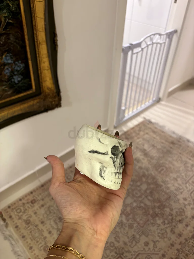 وعاء على شكل جمجمة للنباتات الصغيرة63221349627906112