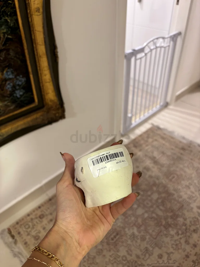وعاء على شكل جمجمة للنباتات الصغيرة63221349627906111