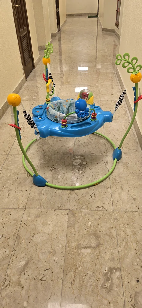 Baby Einstein Dicsovery Jumper632048562543371118