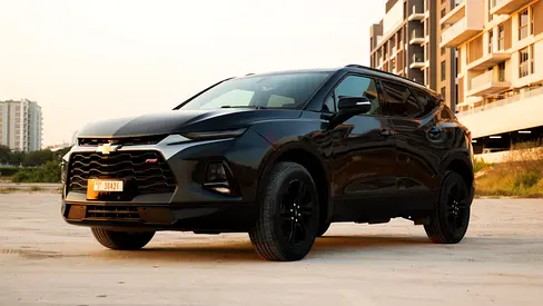 NO DEPOSIT/ free delvery- Tabby TAMARA Accepted