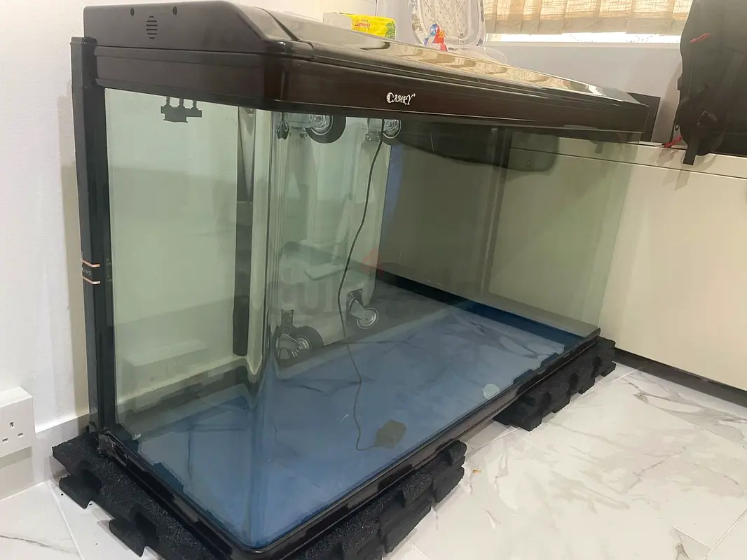 Fish Tank Aquarium