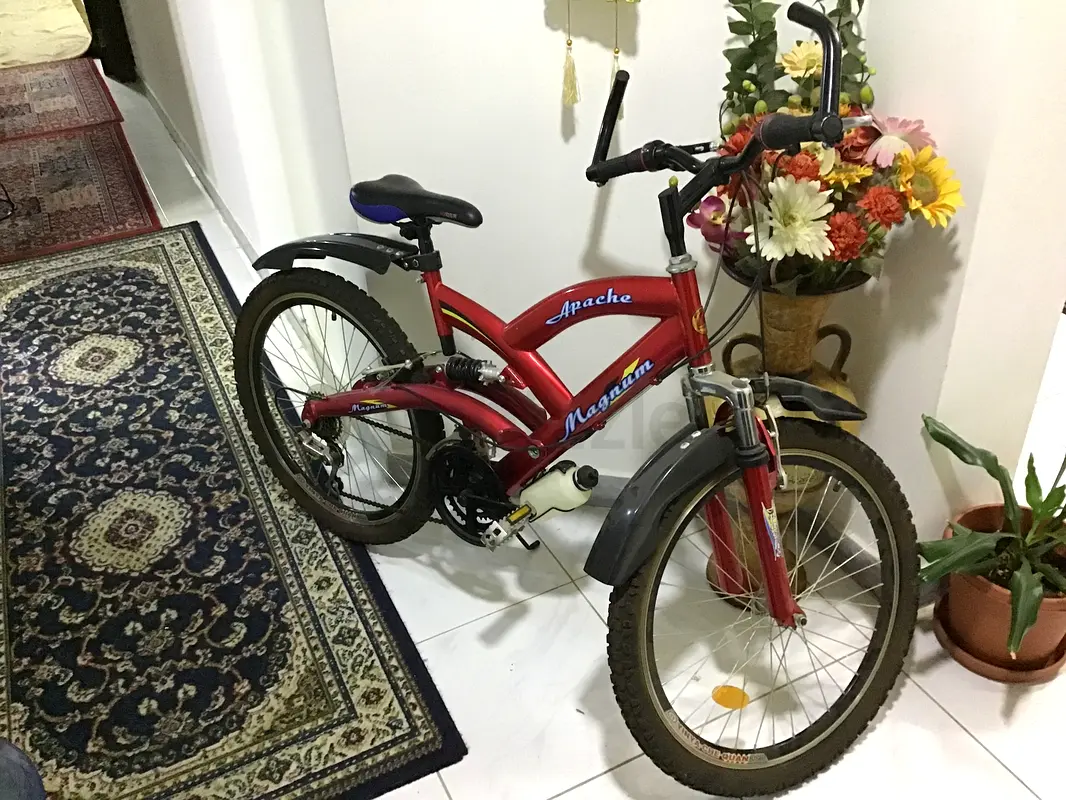 Bicycle63246250596225116