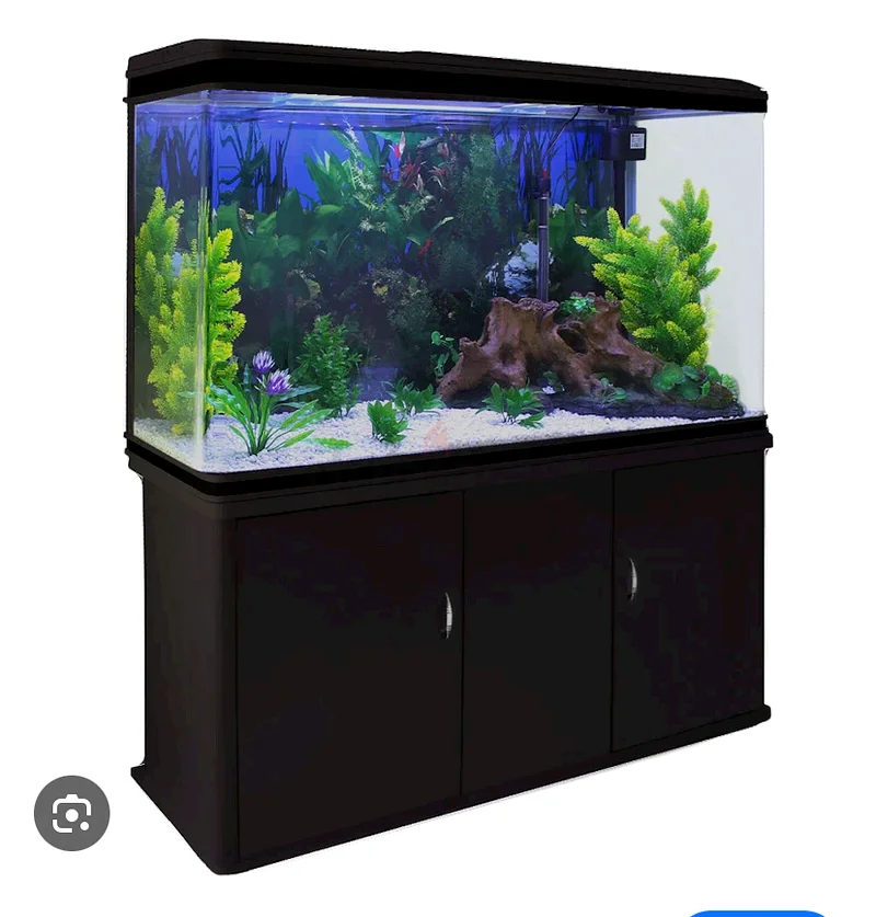 Aquarium632321591516191117