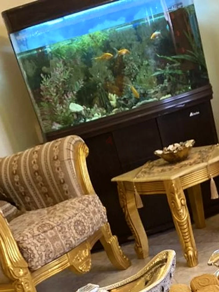 Aquarium63232159151619111