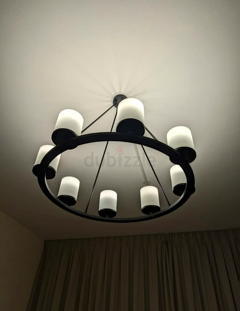 Fraser 8-Light Glass Pendant Lamp63220324625921111