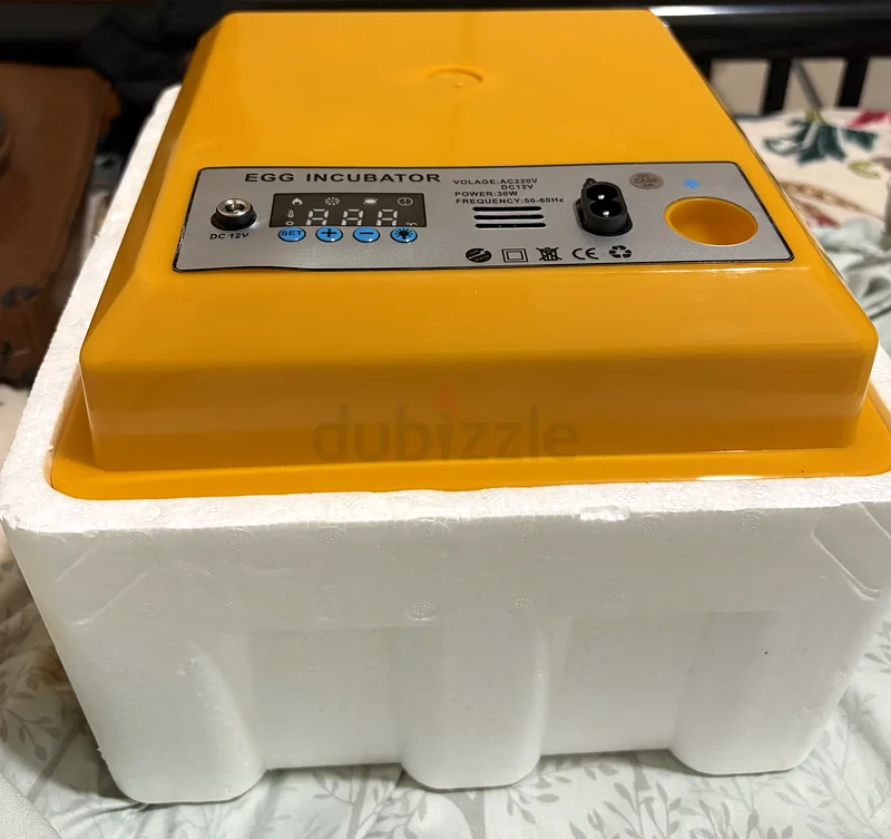 Incubator63231685677315113