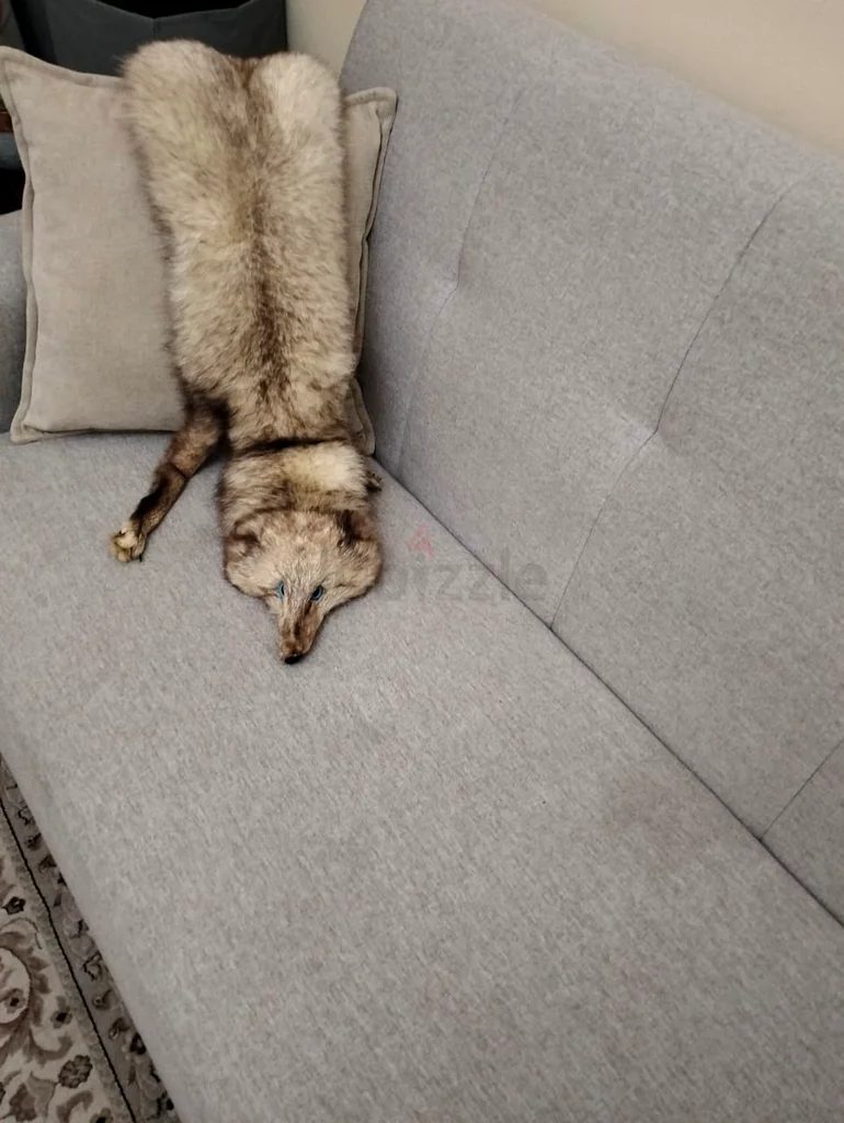 Decoration63209834087810110