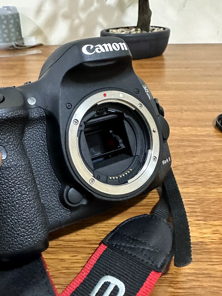 كاميرا DSLR للبيع63233637566851113