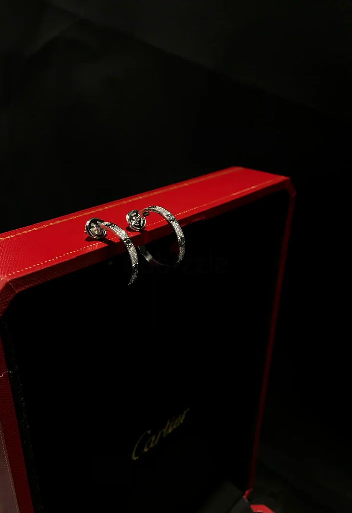 Cartier earrings63232156038145113