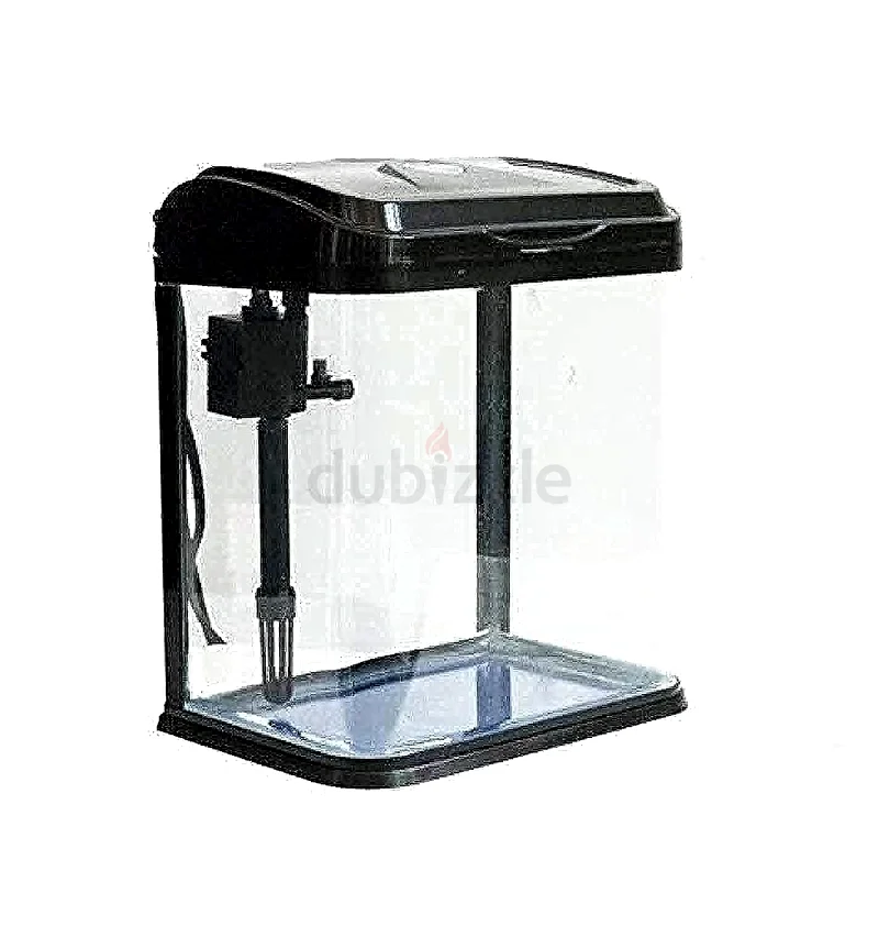 Aquariums of Different Sizes63232159196419111