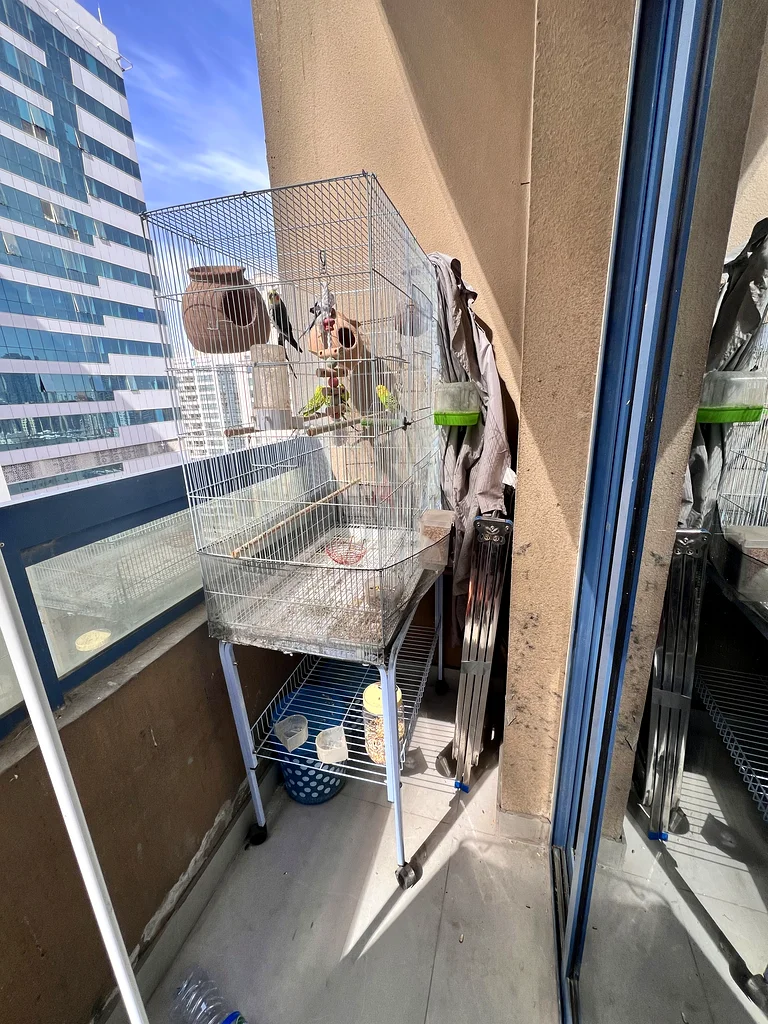 Large Bird Cage with Stand  Accessories.63231685766274114