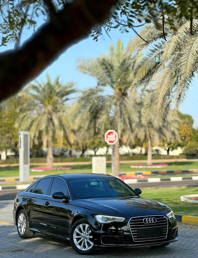 AUDI A663168498103171112