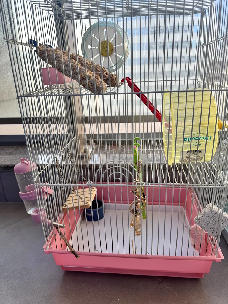 2 Hamster cages, supplies and toys63173152185474112