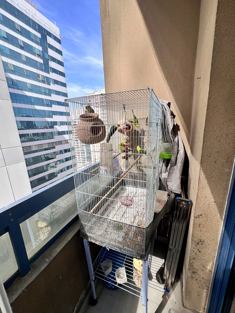 Large Bird Cage with Stand  Accessories.63231685766274112