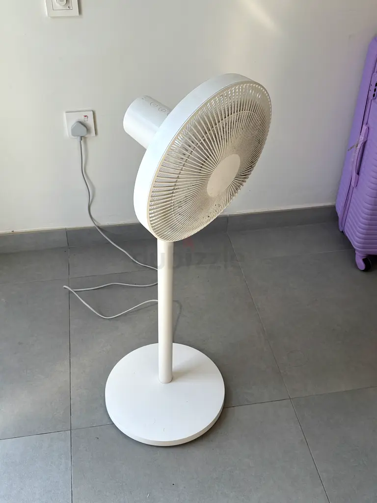 Fan