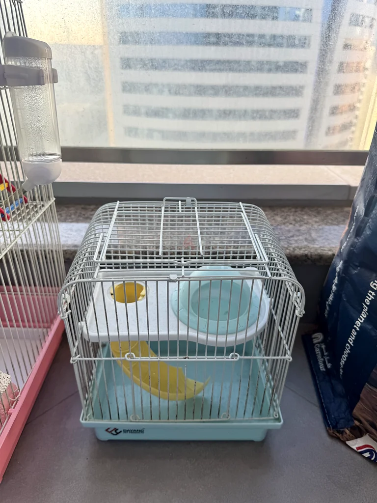 2 Hamster cages, supplies and toys63173152185474111