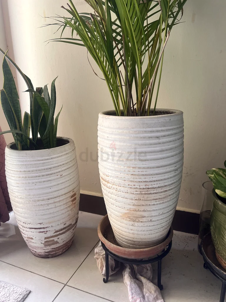 Plant Pots63220321286274111