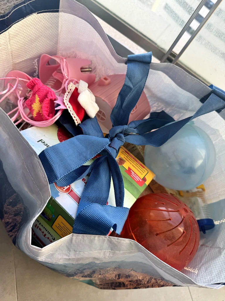 2 Hamster cages, supplies and toys63173152185474113