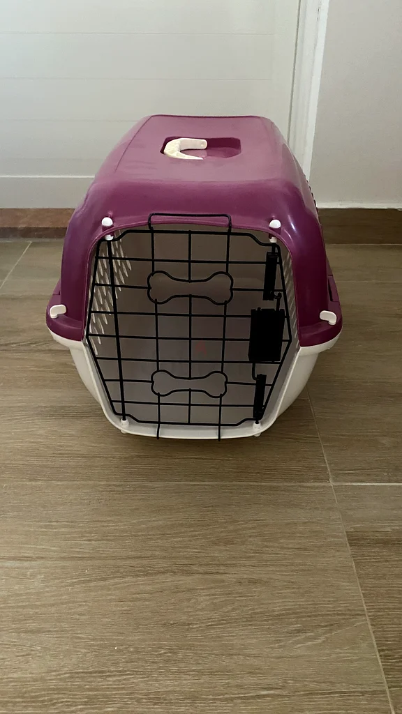 Animal carrier63172684313090112
