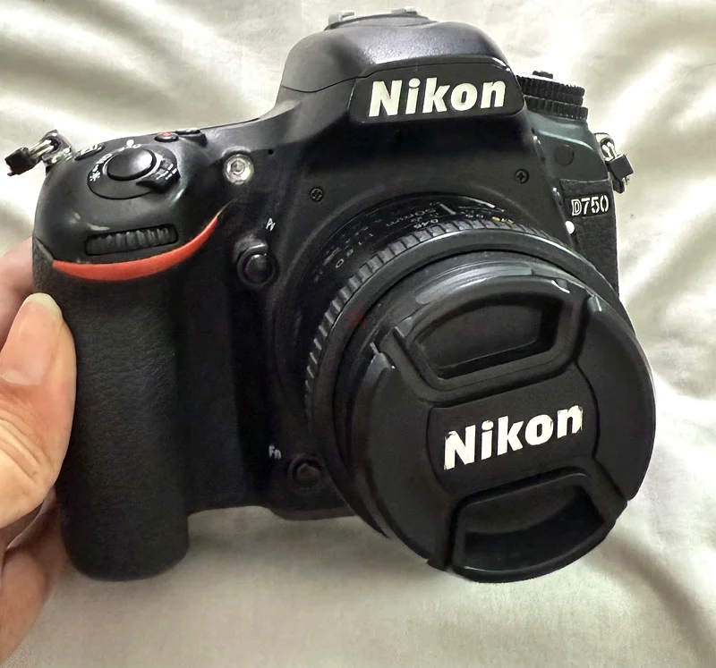 Nikon D75063174322947969112