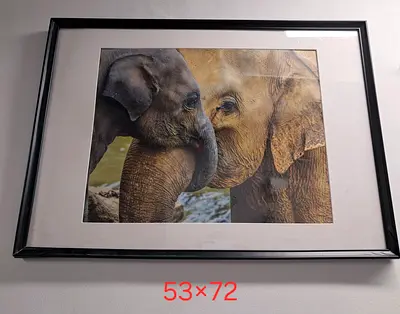 Elephant Painting Frame